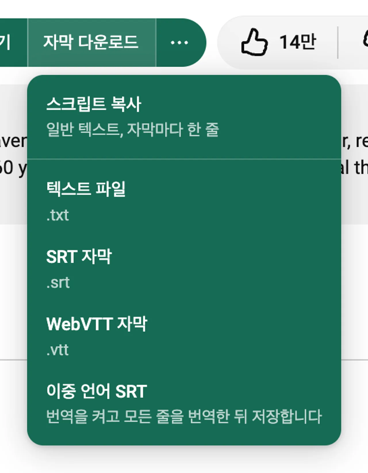 TXT, SRT, WebVTT, 이중 언어 SRT를 선택하는 LangBox 자막 다운로드 메뉴.